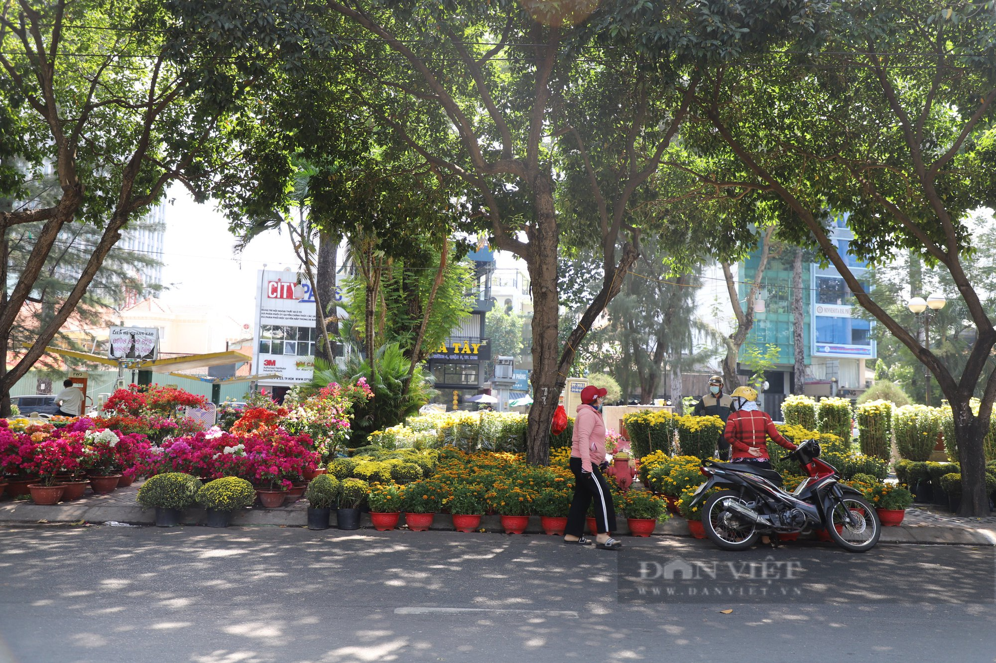 Sài Gòn rộn rã vào Xuân - Ảnh 10.