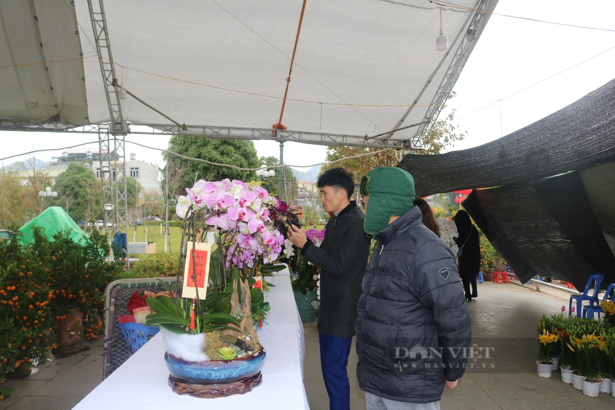 Nhộn nhịp chợ hoa Tết giữa lòng thành phố Sơn La - Ảnh 7.