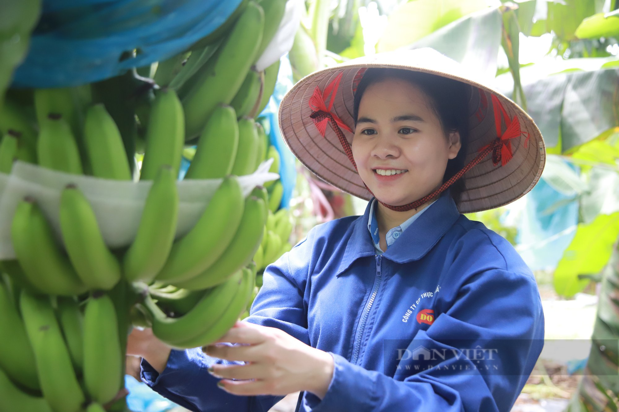 Lần đầu tiên, xuất khẩu một loại trái cây của Việt Nam vượt Philippines ở thị trường Trung Quốc - Ảnh 1.