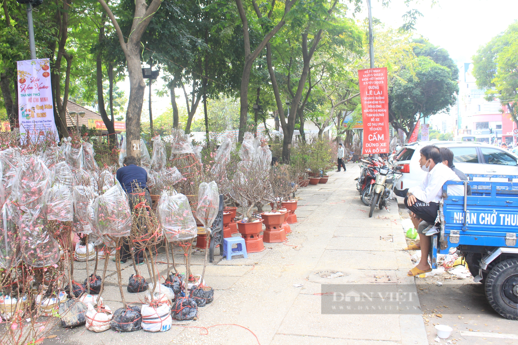 Diễn biến lạ chợ hoa Tết Sài Gòn: &quot;Chưa thấy năm nào như năm nay&quot; - Ảnh 2.