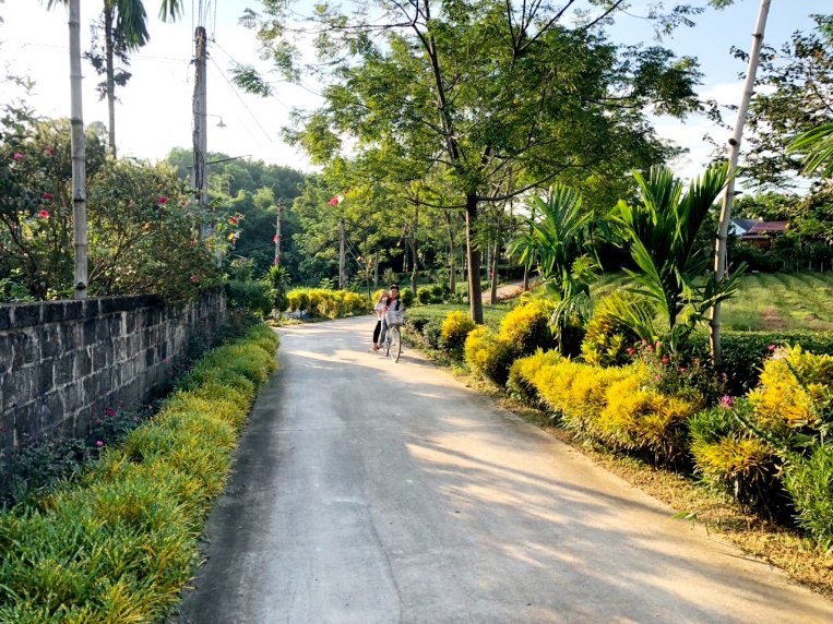 Nông thôn mới Thái Nguyên có những con đường hoa đi qua đã thấy mê lắm rồi - Ảnh 1.