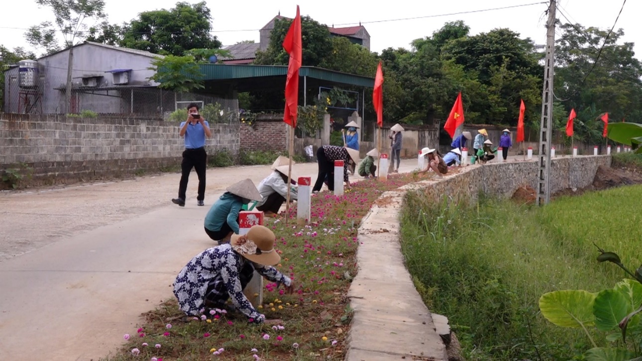 Nông thôn mới Thái Nguyên có những con đường hoa đi qua đã thấy mê lắm rồi - Ảnh 2.