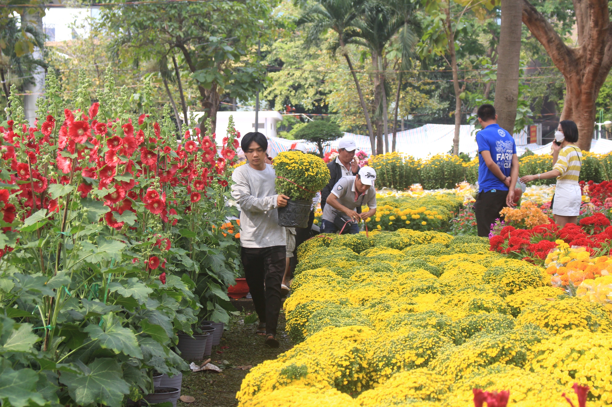 Diễn biến lạ chợ hoa Tết Sài Gòn: &quot;Chưa thấy năm nào như năm nay&quot; - Ảnh 1.