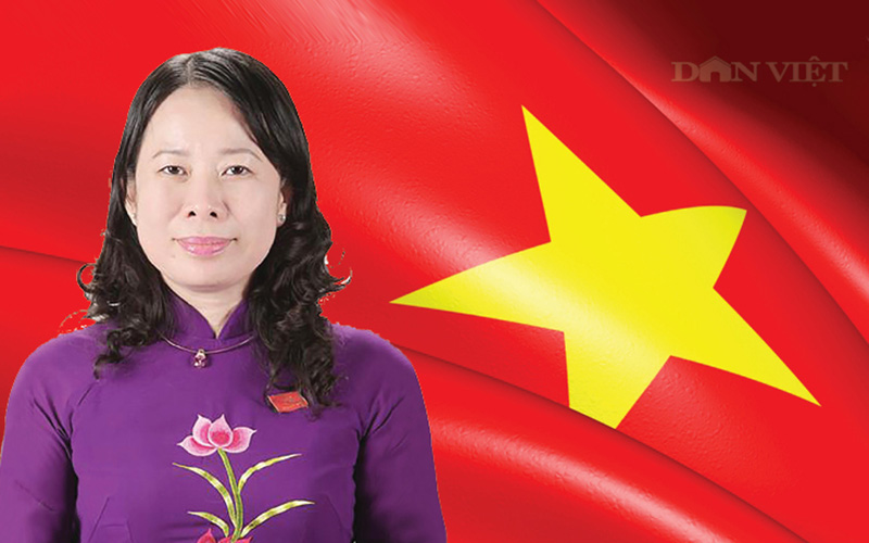 Chân dung và sự nghiệp của Quyền Chủ tịch nước Võ Thị Ánh Xuân