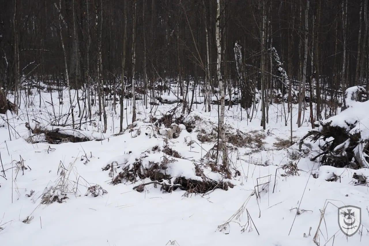 Ảnh lính bắn tỉa Ukraine trầm mình trong băng tuyết lạnh buốt để giữ vững vị trí gây xúc động mạnh - Ảnh 3.