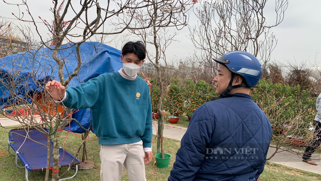 Giống &quot;đào&quot; có hình dáng kỳ lạ, chỉ mọc trên đỉnh núi cao, giá tiền triệu vẫn được săn đón dịp Tết - Ảnh 9.