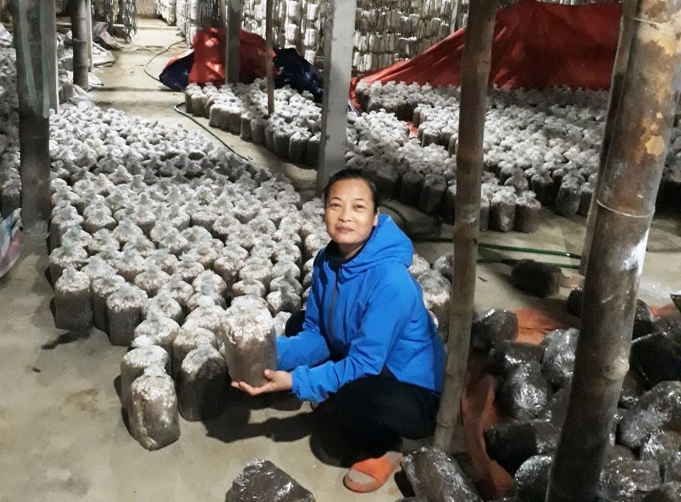 Trồng nấm sò, một nữ nông dân sản xuất kinh doanh giỏi cấp tỉnh ở Bắc Kạn thu hàng trăm triệu - Ảnh 1.