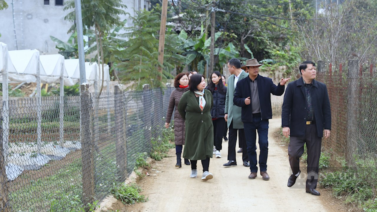 Phó Chủ tịch BCH TƯ Hội NDVN Cao Xuân Thu Vân thăm, làm việc tại tỉnh Sơn La - Ảnh 2.