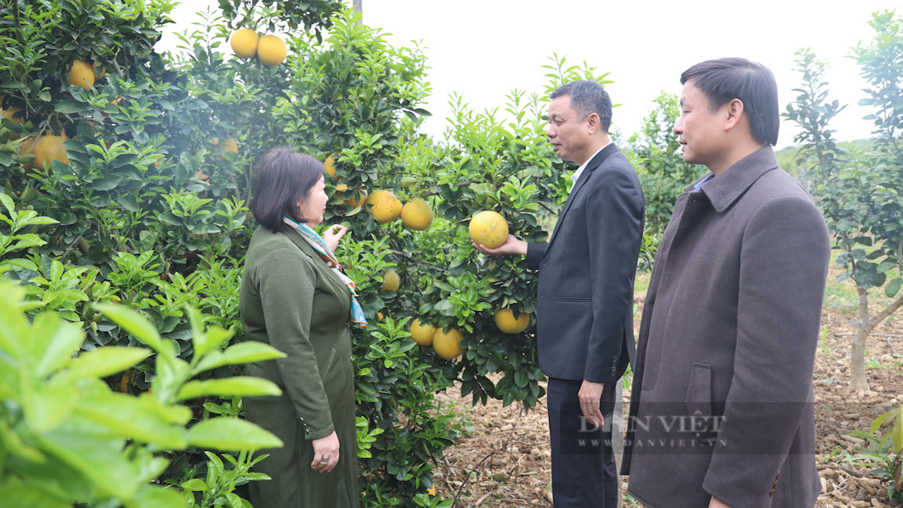 Trung ương Hội Nông dân Việt Nam thăm và làm việc với Trung tâm hỗ trợ nông dân tỉnh Sơn La - Ảnh 1.