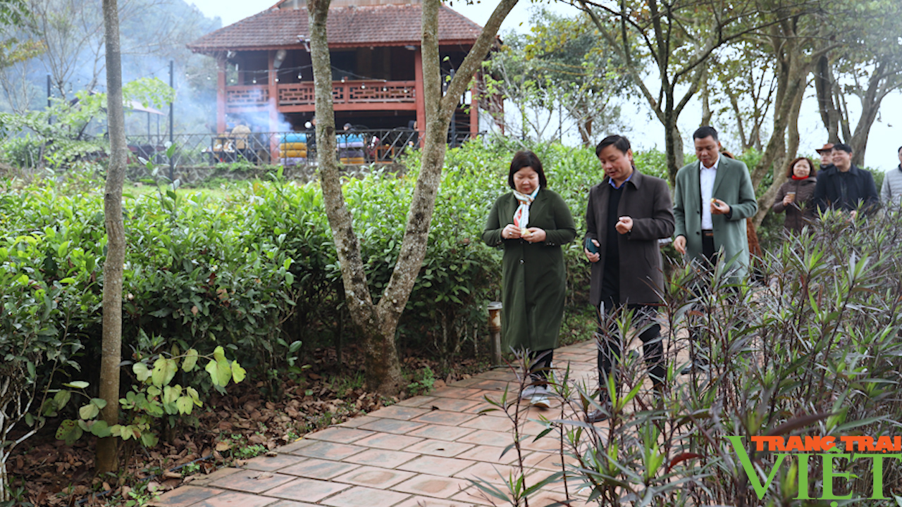 Phó chủ tịch Trung ương Hội Nông dân Việt Nam đánh giá cao mô hình cây ăn quả trên địa bàn Sơn La - Ảnh 3.