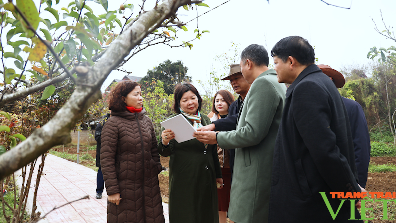 Phó chủ tịch Trung ương Hội Nông dân Việt Nam đánh giá cao mô hình cây ăn quả trên địa bàn Sơn La - Ảnh 4.
