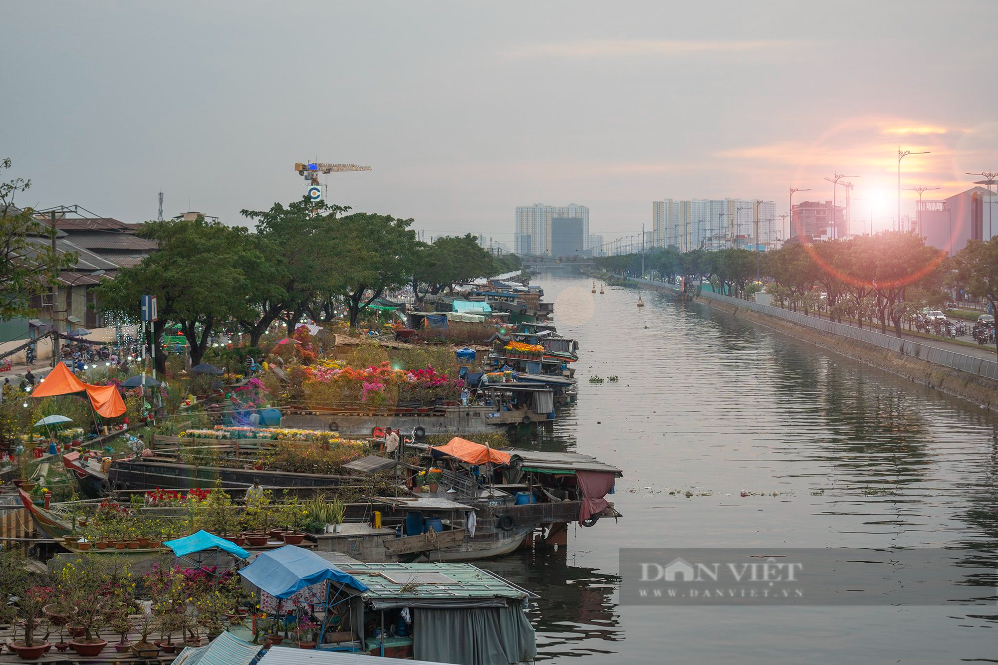 Đẹp say lòng chợ hoa Xuân trên bến dưới thuyền - Ảnh 13.