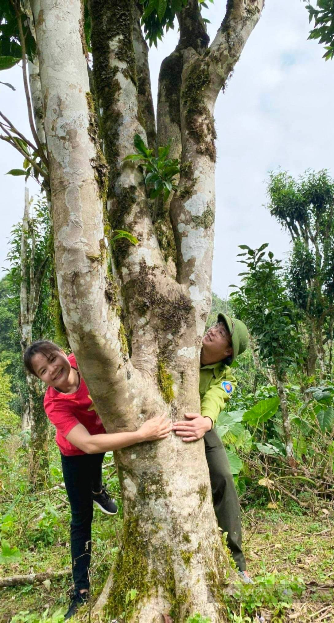 Mô hình du lịch nào ở Phú Thọ đang tạo sức hút bất ngờ? - Ảnh 9.