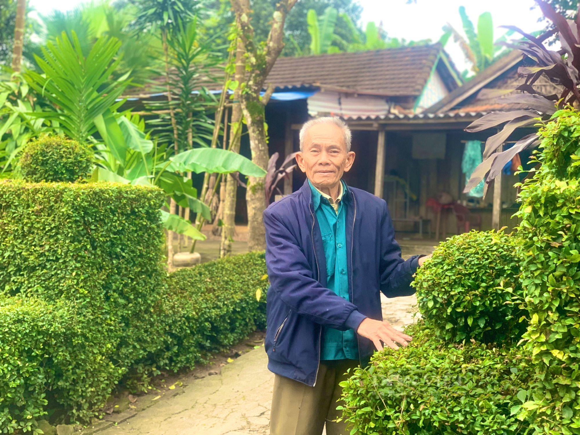 Một xã miền núi ở Quảng Bình người dân trồng chè tàu làm hàng rào, nông thôn mới đẹp như phim - Ảnh 2.