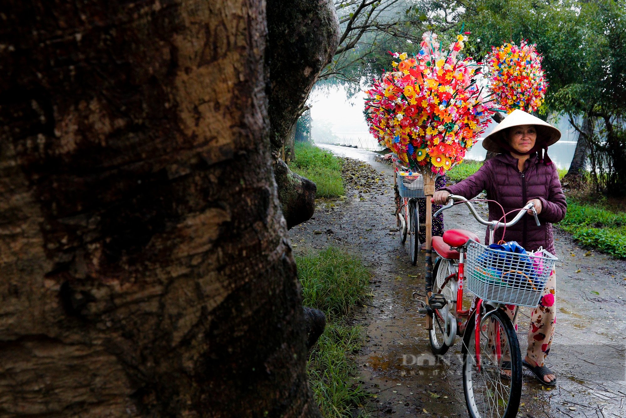 Rực rỡ sắc màu Tết tại làng nghề hoa giấy hơn 300 tuổi tại Huế - Ảnh 5.