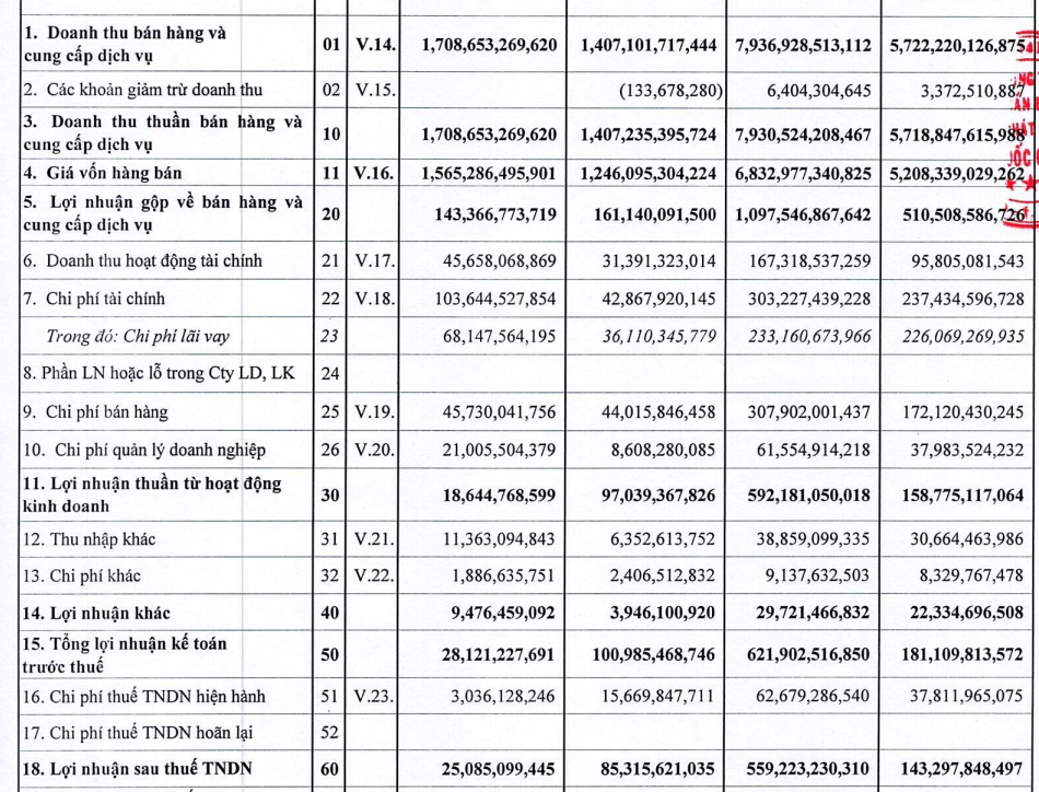 IDI báo lãi giảm hơn 70% trong quý 4, cả năm không hoàn thành mục tiêu - Ảnh 1.