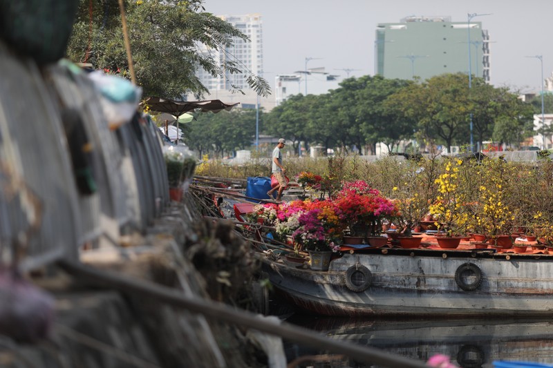 Rộn ràng chợ hoa Xuân trên bến dưới thuyền - Ảnh 3.