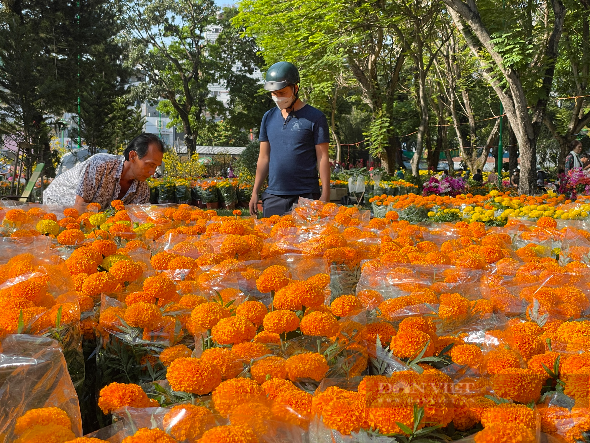 Chợ hoa Sài Gòn 30 Tết còn ê hề, nhà vườn bán rẻ như cho vẫn ế - Ảnh 6.