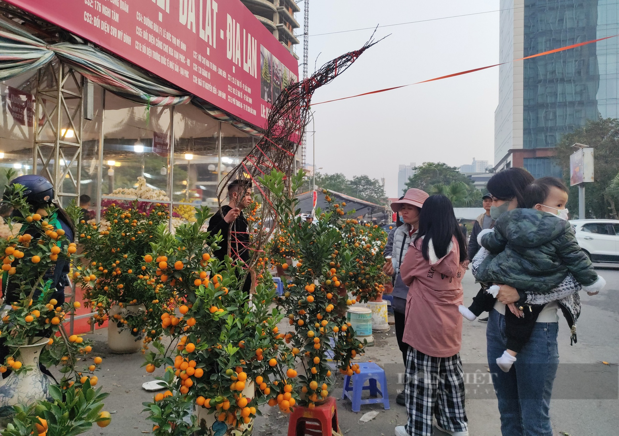 Nhộn nhịp cảnh mua bán đào, quất chiều 30 Tết - Ảnh 6.