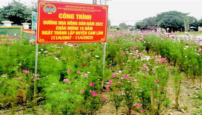 Đường hoa nông thôn mới ở nơi này của Khánh Hòa đẹp mê tơi mang tên &quot;Đường hoa nông dân&quot; - Ảnh 2.