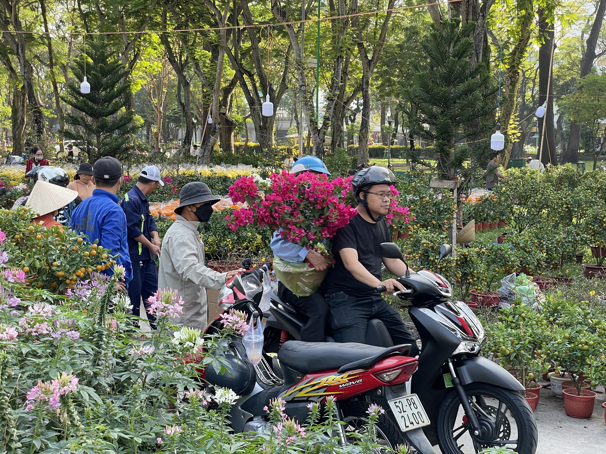 Chợ hoa Sài Gòn 30 Tết còn ê hề, nhà vườn bán rẻ như cho vẫn ế - Ảnh 7.