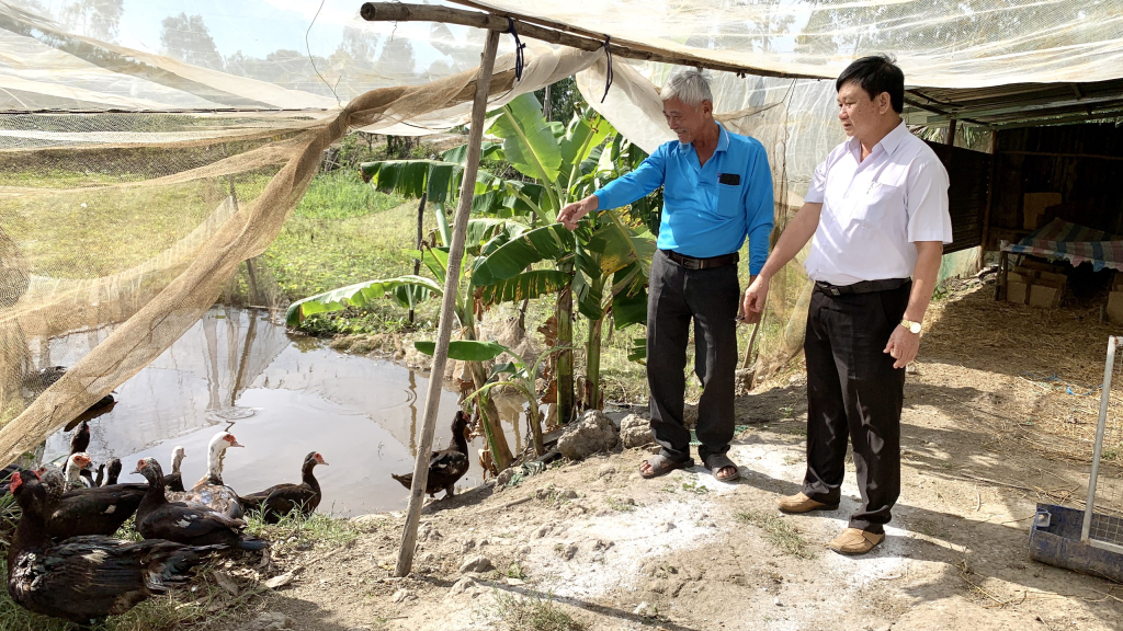 Nuôi loài vịt &quot;mặc áo hoa&quot;, con nào cũng to bự, đẻ trứng cũng to bự, nông dân Long An khá giả - Ảnh 2.