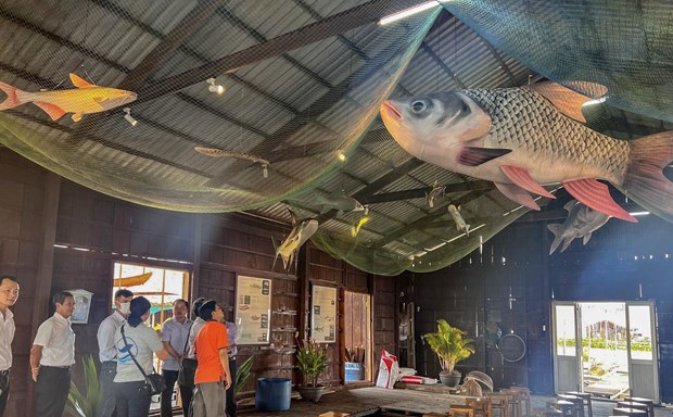 Loài cá hiếm ở miền Tây lên hình 3D giúp quảng bá du lịch Cồn Sơn ở Cần Thơ - Ảnh 1.