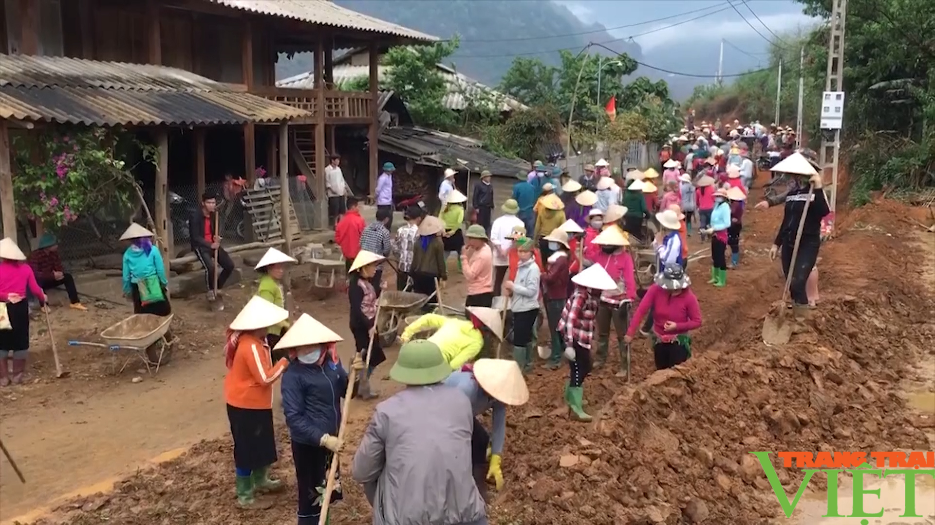 Nông dân Sơn La một năm với nhiều khởi sắc   - Ảnh 9.