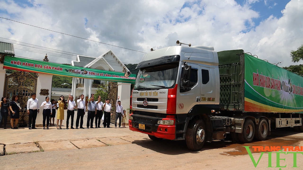 Nông dân Sơn La một năm với nhiều khởi sắc   - Ảnh 11.