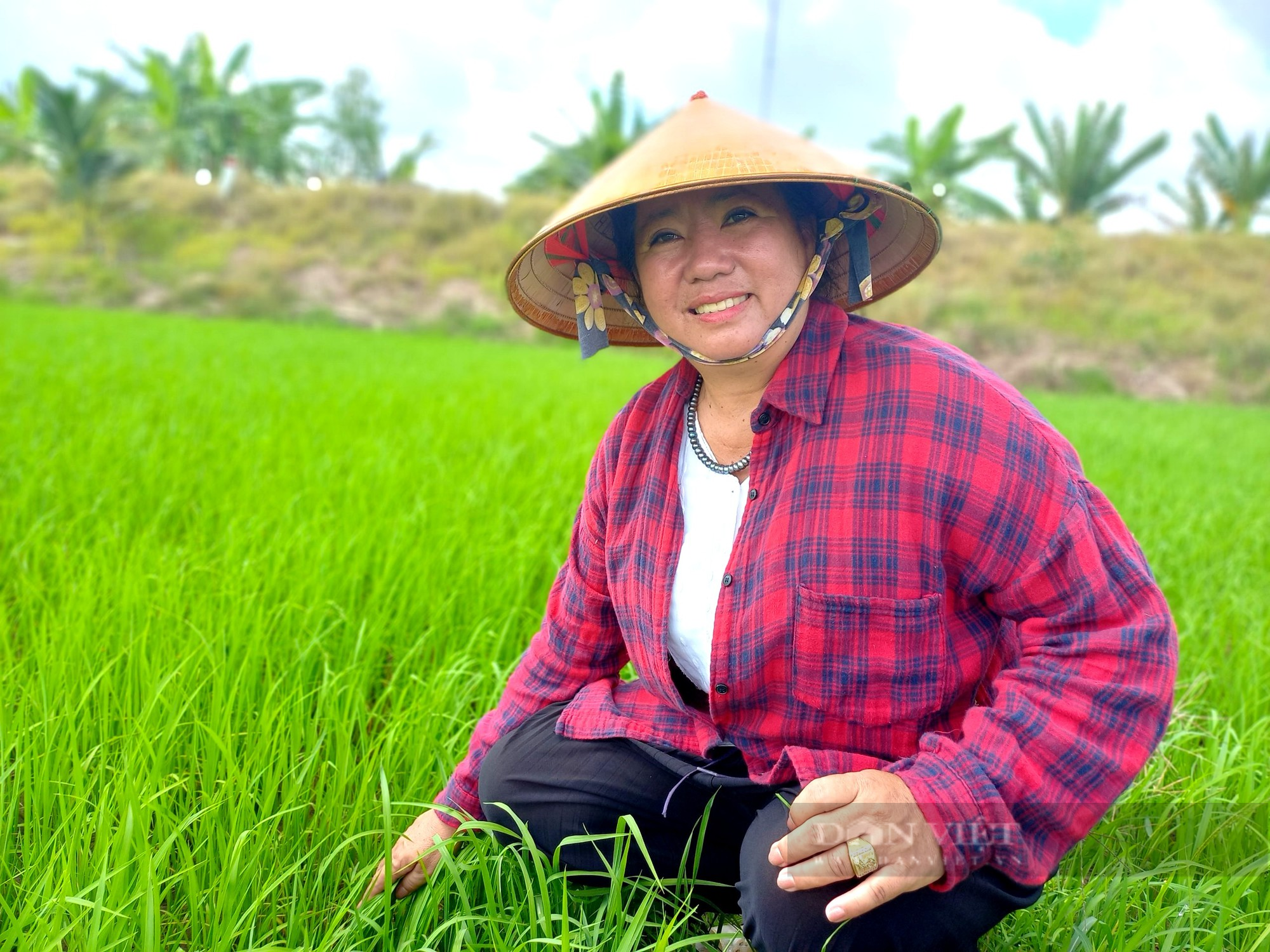 Đầu năm thăm đồng, điền chủ trồng lúa ở Đồng Tháp Mười hả hê cầm chắc tiền tỷ trong tay - Ảnh 3.