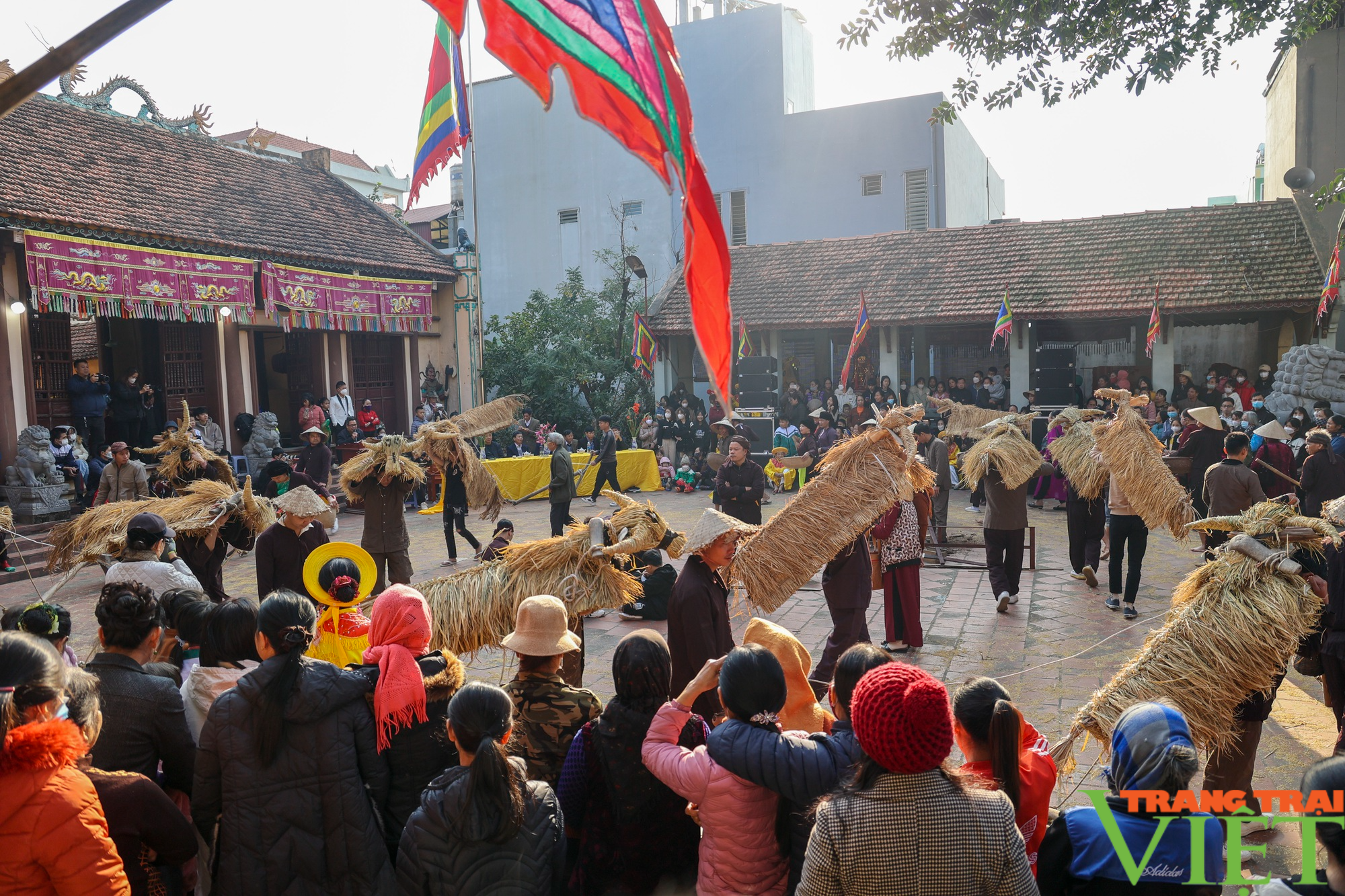 Lễ hội người đóng giả trâu bò ở Vĩnh Phúc - Ảnh 9.