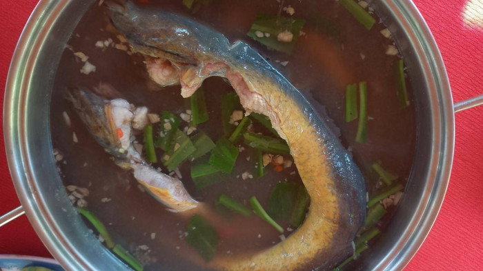 Về rừng U Minh Hạ, đặt trúm lươn, thưởng thức món quê dân dã - Ảnh 3.