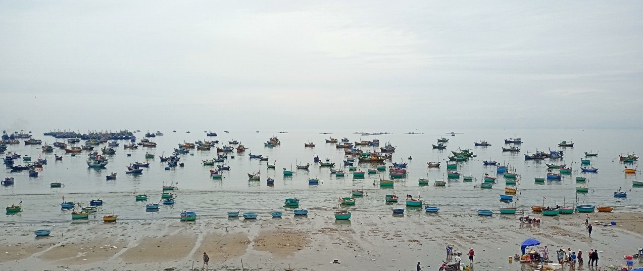 Xác định 1 người tử vong trong vụ tàu cá bị chìm khiến 12 thuyền viên rơi xuống biển ở Bình Thuận - Ảnh 1.