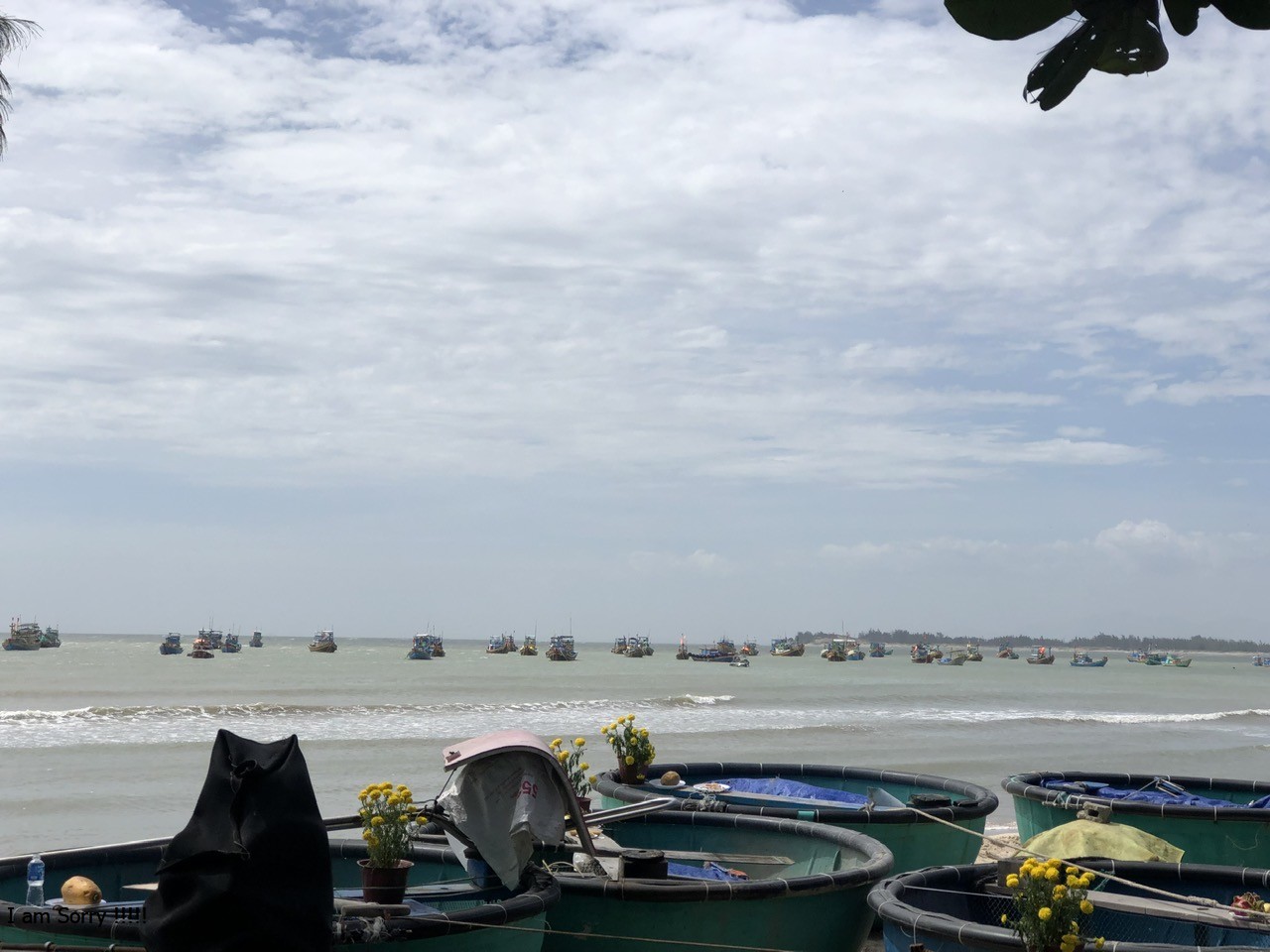 Bình Thuận: Đang tích cực tìm 4 thuyền viên bị mất tích trên biển do tàu cá bị sóng lớn đánh chìm - Ảnh 1.