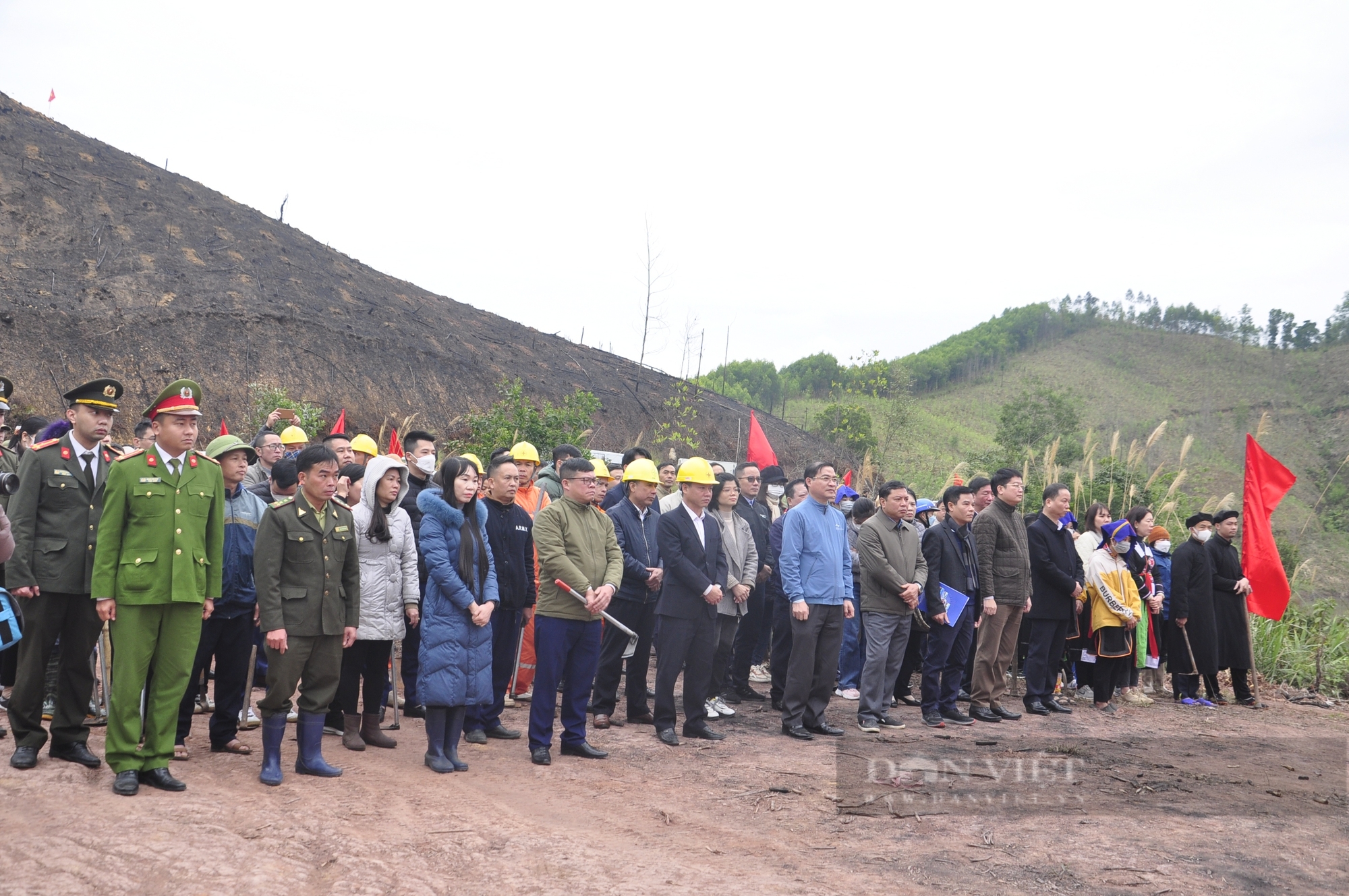 Nông dân Quảng Ninh tham gia Tết trồng cây, góp phần phát triển kinh tế - Ảnh 1.