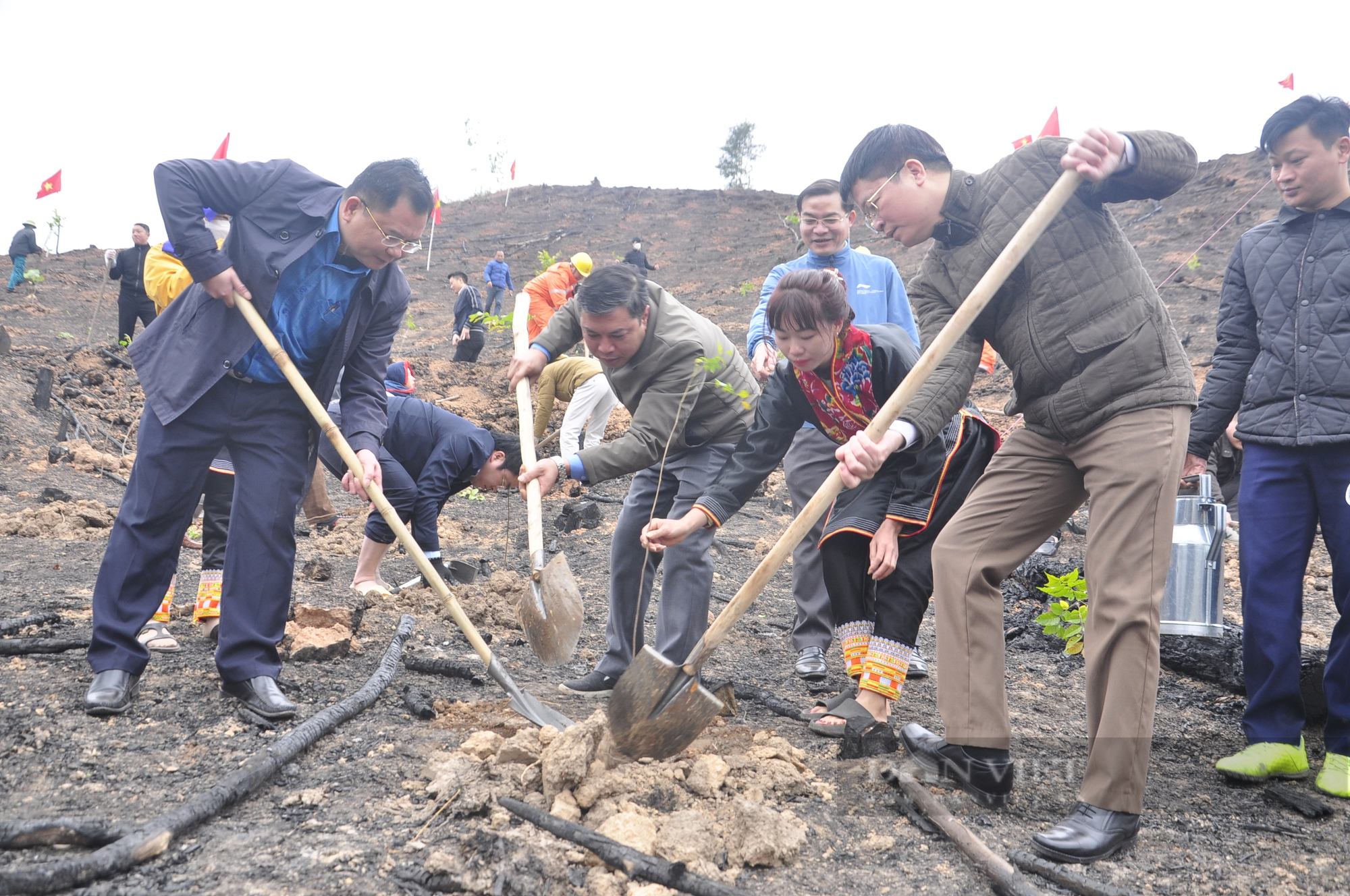 Nông dân Quảng Ninh tham gia Tết trồng cây, góp phần phát triển kinh tế - Ảnh 3.