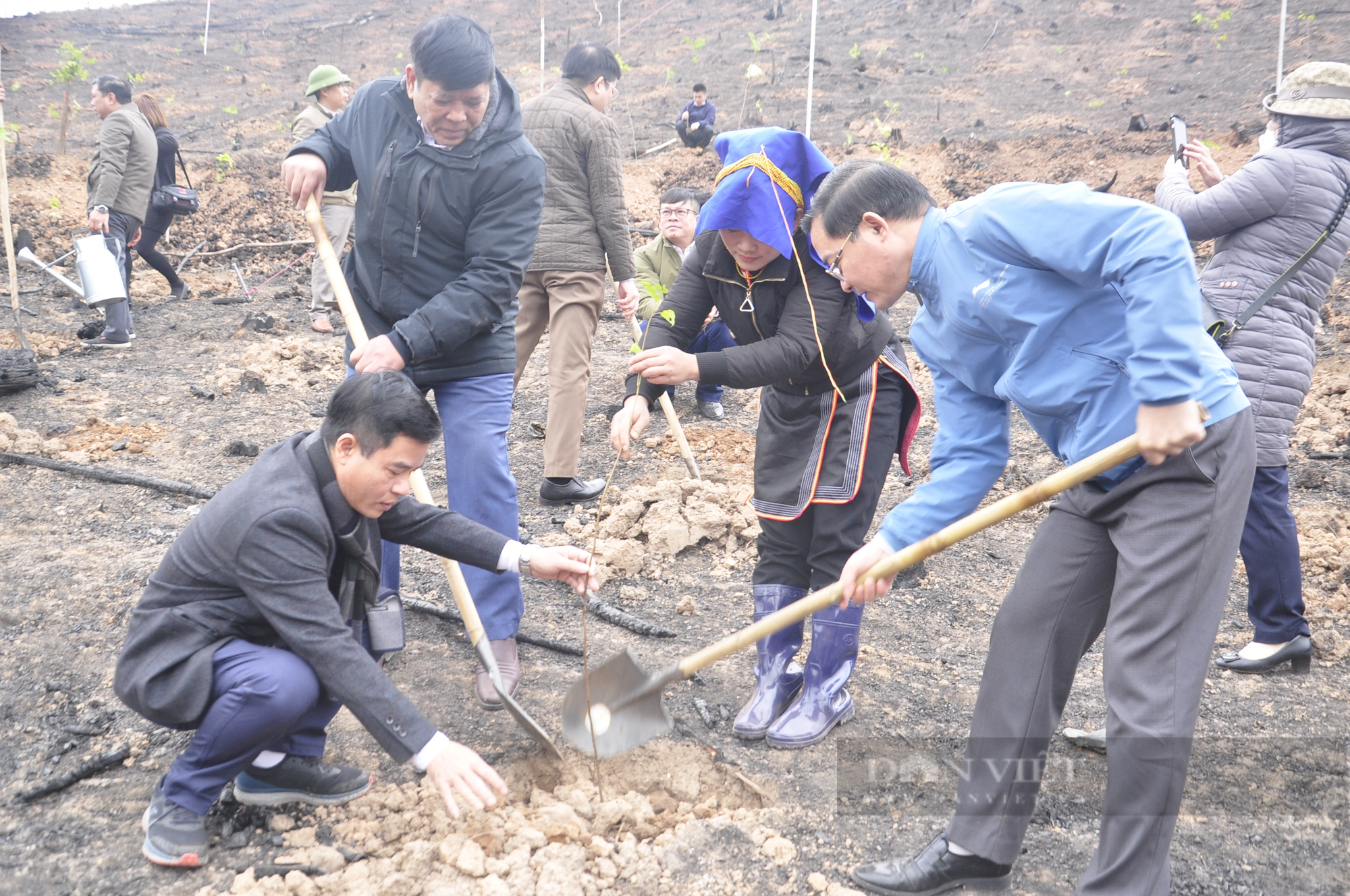 Nông dân Quảng Ninh tham gia Tết trồng cây, góp phần phát triển kinh tế - Ảnh 4.