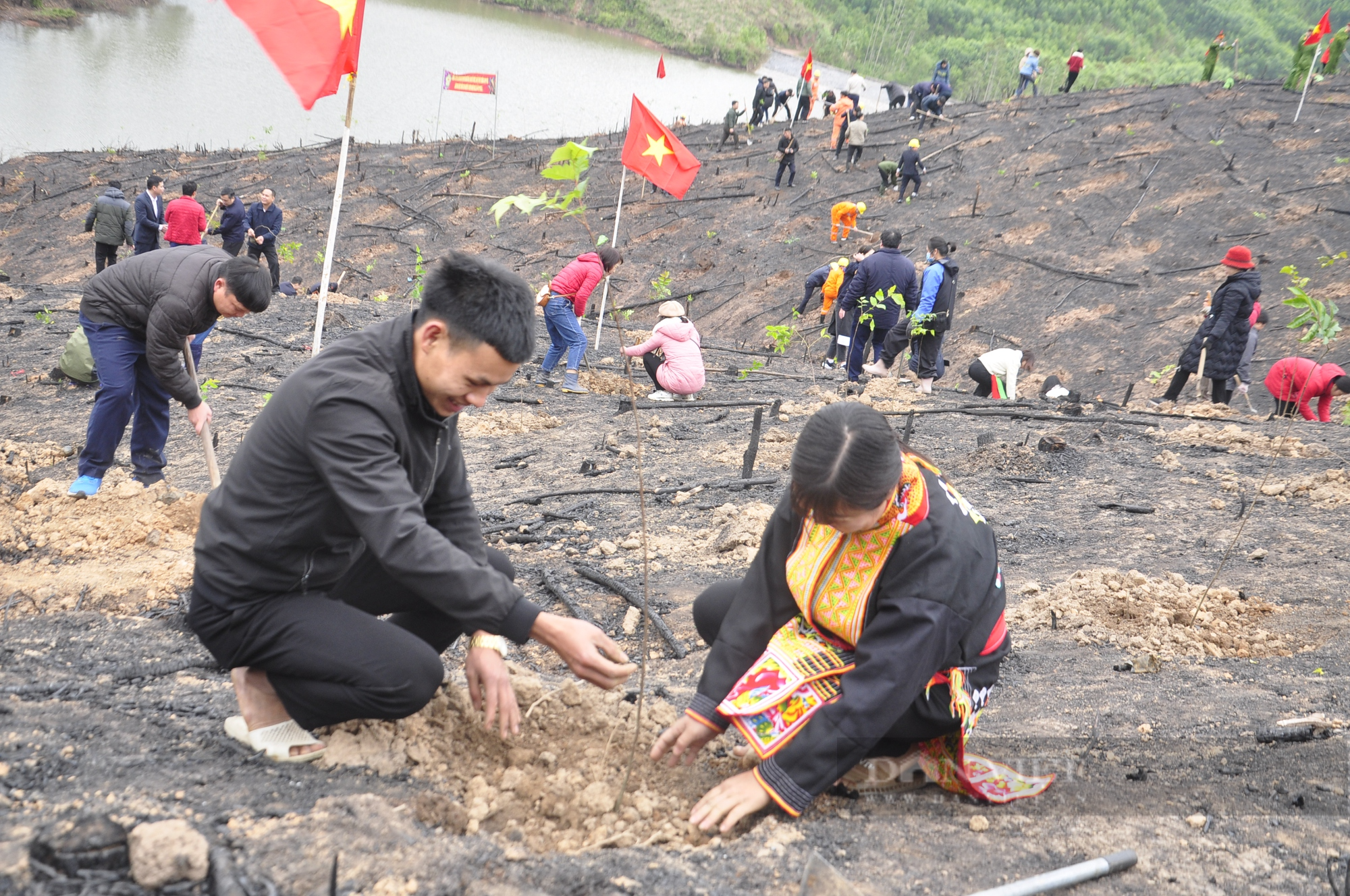 Nông dân Quảng Ninh tham gia Tết trồng cây, góp phần phát triển kinh tế - Ảnh 6.