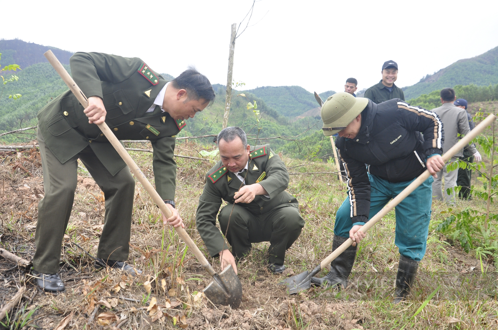 Nông dân Quảng Ninh tham gia Tết trồng cây, góp phần phát triển kinh tế - Ảnh 7.