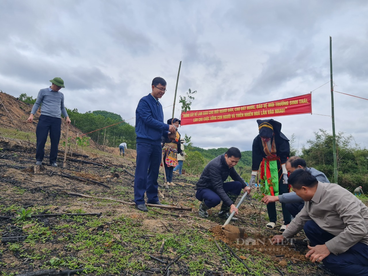 Nông dân Quảng Ninh tham gia Tết trồng cây, góp phần phát triển kinh tế - Ảnh 8.