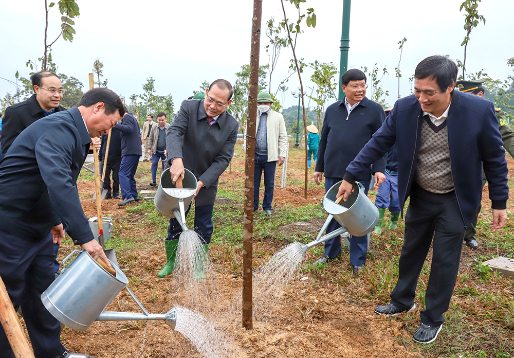 Phú Thọ trồng mới 9 nghìn ha rừng, 2 triệu cây phân tán - Ảnh 2.