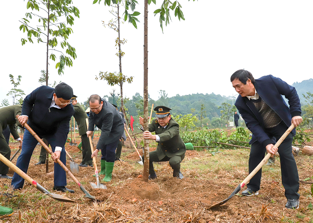 Phú Thọ trồng mới 9 nghìn ha rừng, 2 triệu cây phân tán - Ảnh 1.