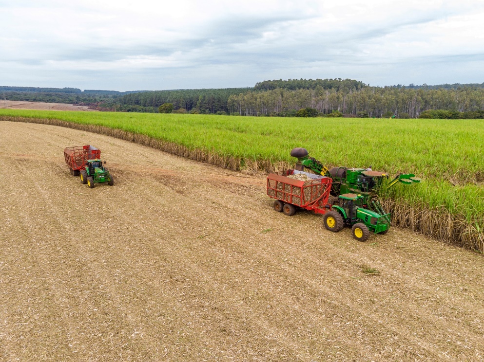 TTC AgriS đồng hành cùng nông dân phát triển bền vững vùng nguyên liệu - Ảnh 1.