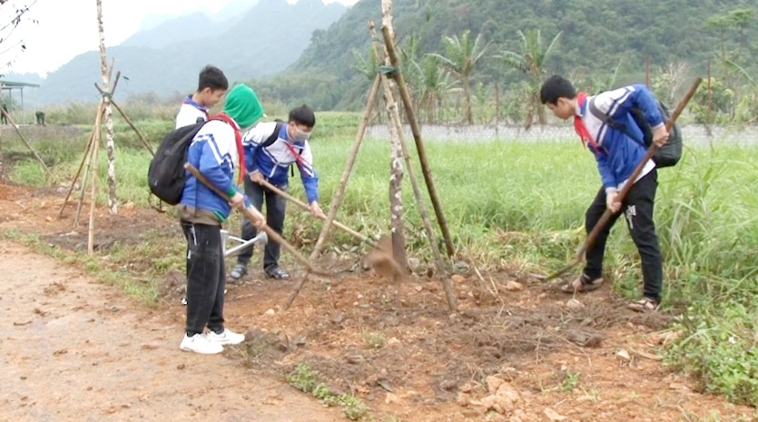 Ninh Bình: Phấn đấu trồng mới trên 1,2 triệu cây xanh và trên 450 ha rừng trong năm 2023 - Ảnh 3.