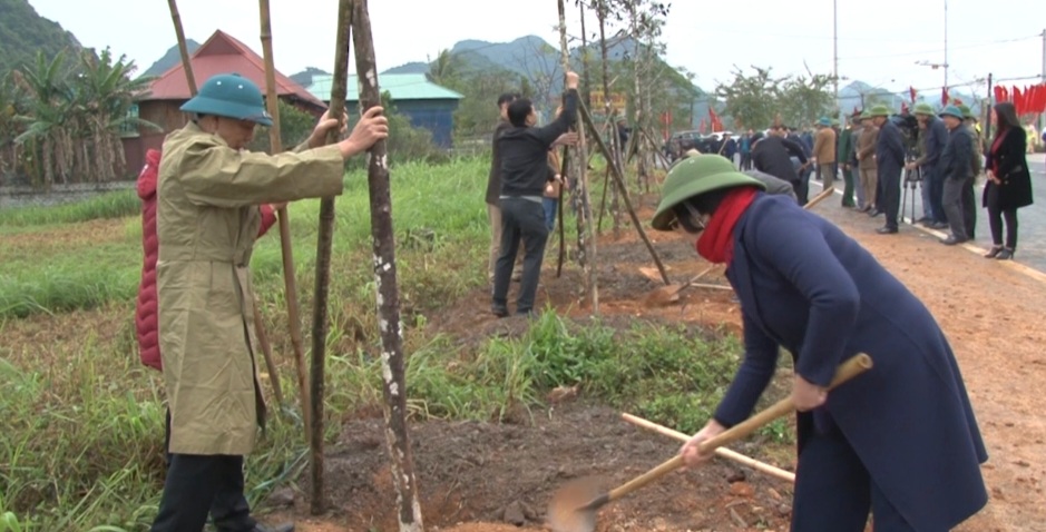 Ninh Bình: Phấn đấu trồng mới trên 1,2 triệu cây xanh và trên 450 ha rừng trong năm 2023 - Ảnh 4.