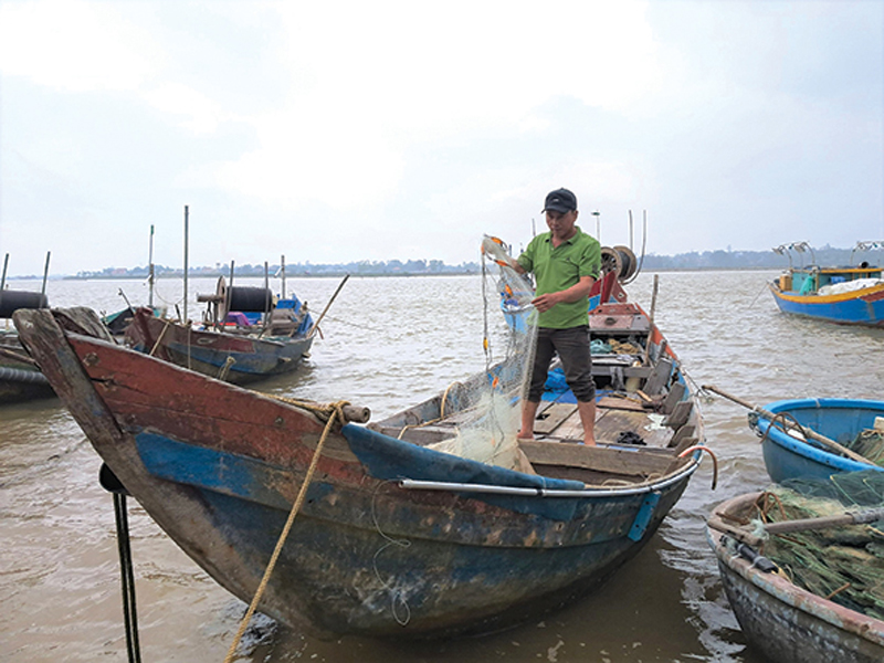 Một ông nông dân Quảng Trị được ví như &quot;quái kiệt&quot; trong nghề đi biển, dịp tết trúng đậm vì bắt loài tôm này - Ảnh 5.