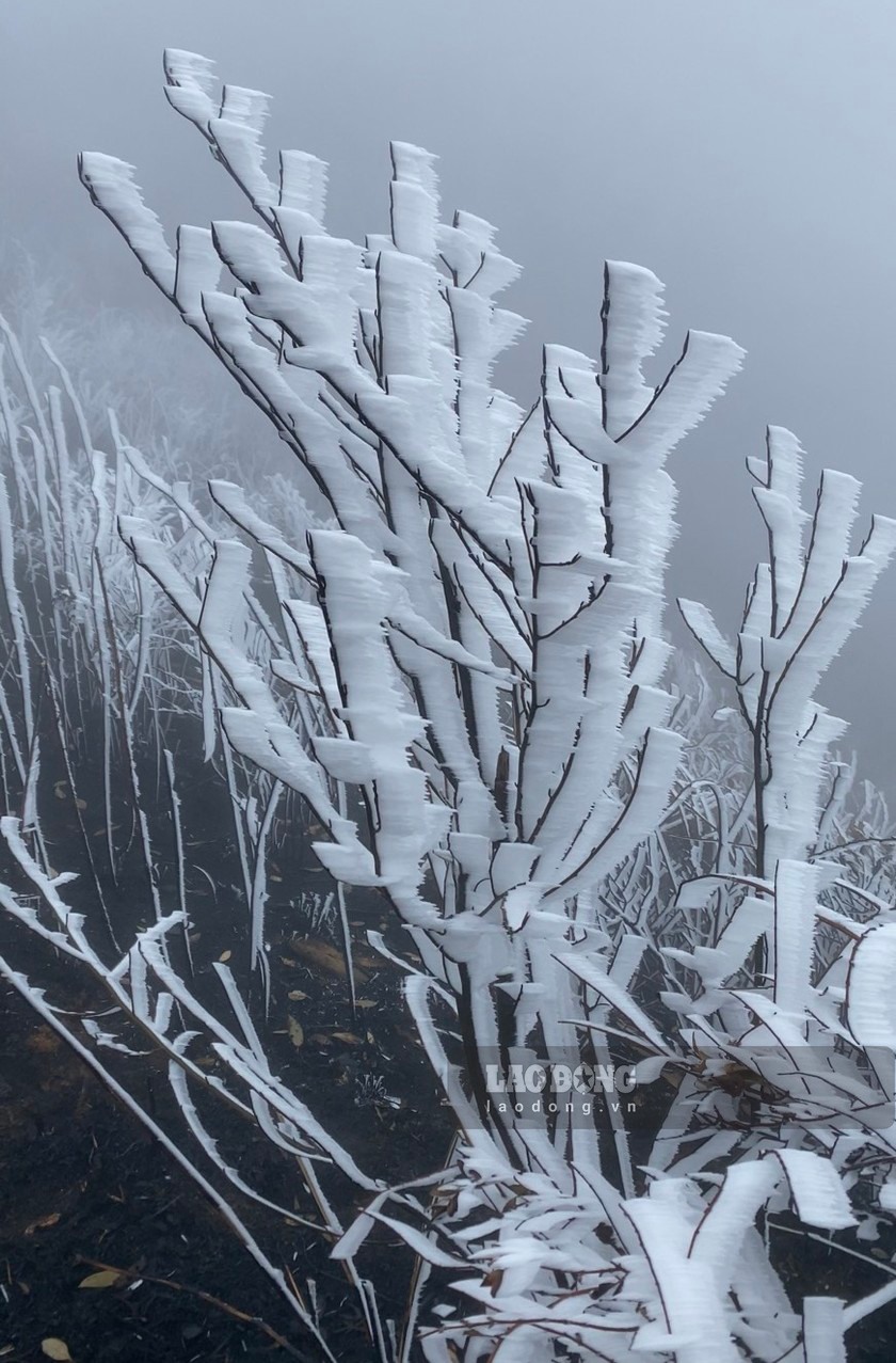 Hình ảnh băng tuyết phủ trắng Y Tý cực đẹp ngày đầu năm mới - Ảnh 2.