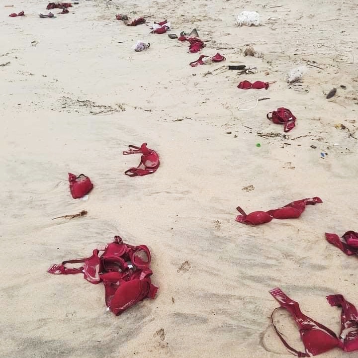 Bất ngờ với hàng trăm áo ngực dạt vào bờ biển Quảng Ngãi - Ảnh 1.