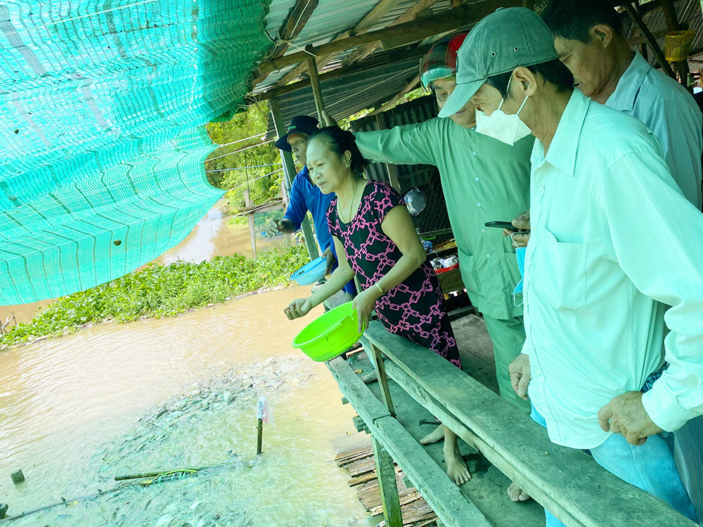  Đàn cá hoang ở dòng kênh Thần Nông - Ảnh 3.