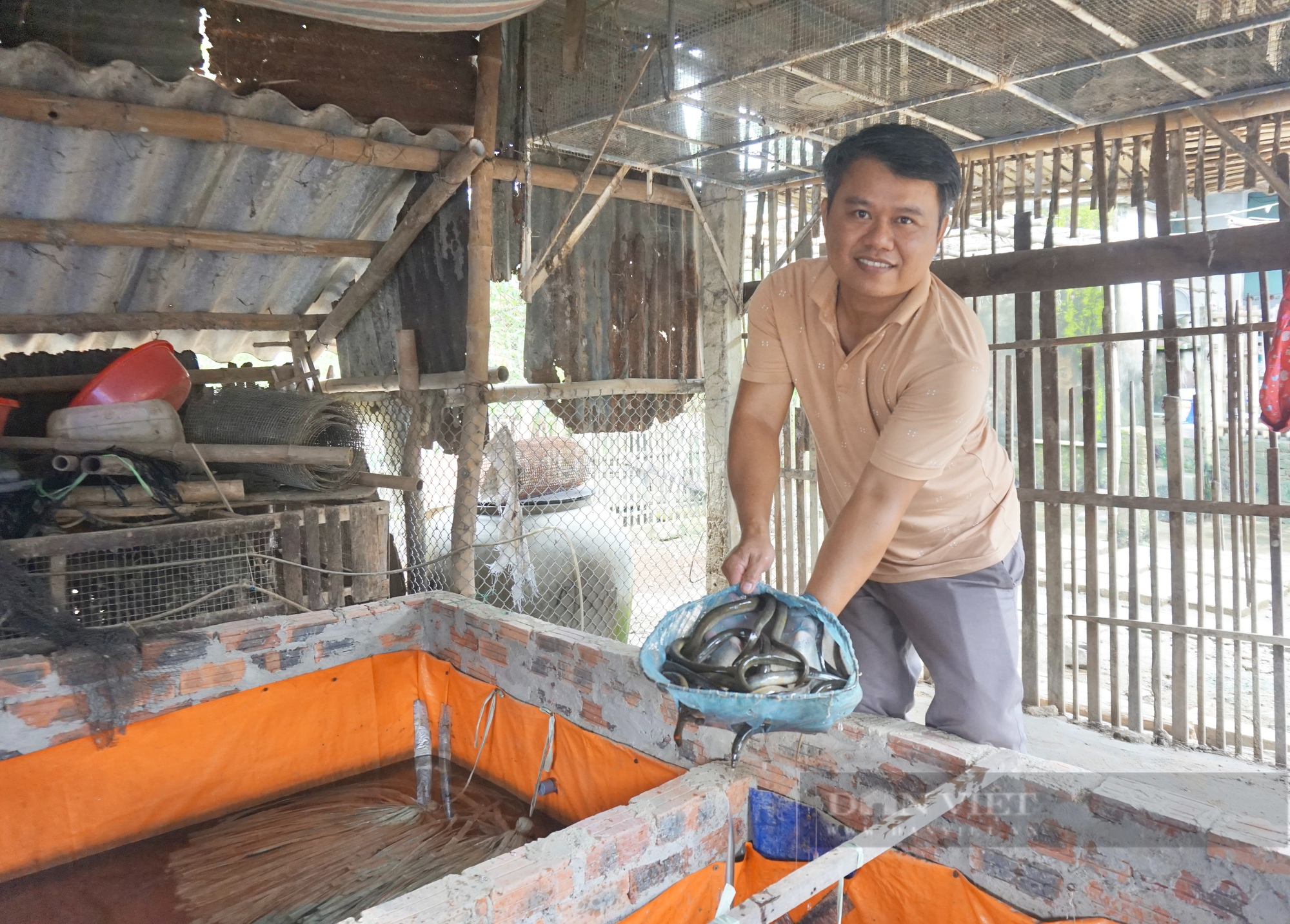 Quảng Nam: Nuôi con da trơn, bán chỉ 5.000 đồng/con, một ông nông dân thu lãi 200 triệu đồng - Ảnh 1.